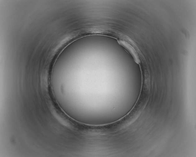 X0000113960530200910091631