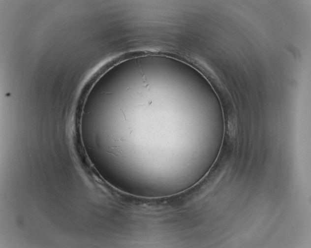 X0000113960532200910091631