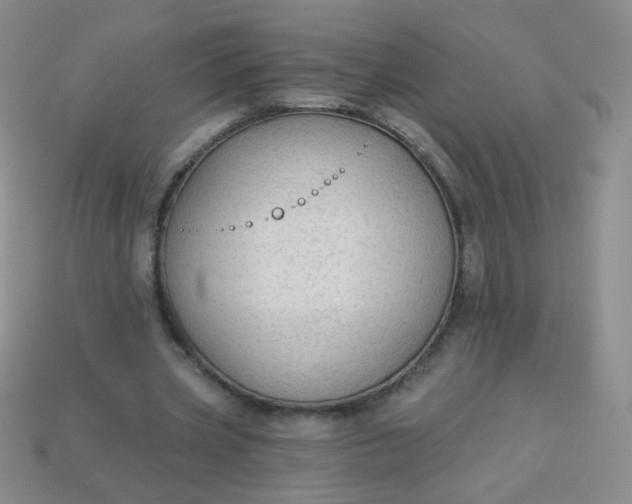 X0000113960533200910091631