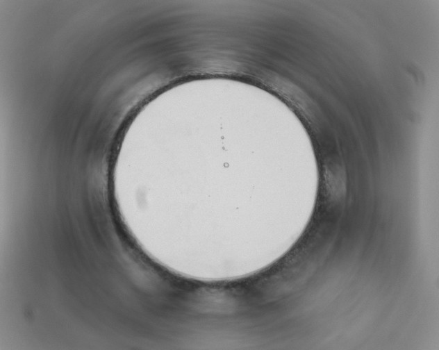 X0000113960534200910091631