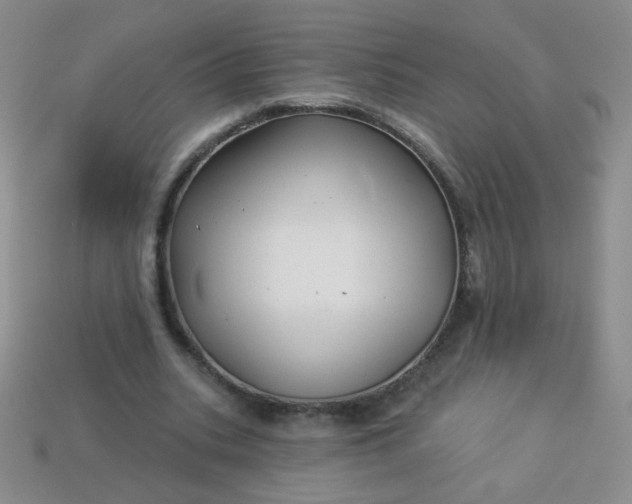 X0000113960535200910091631