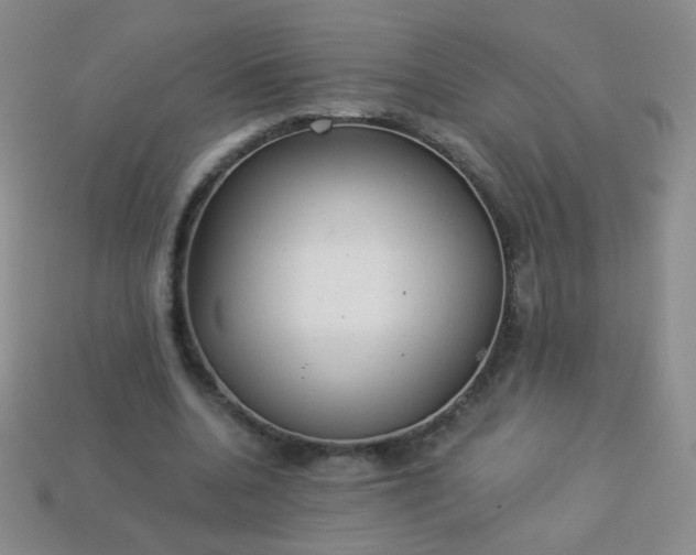 X0000113960536200910091631