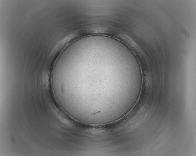 X0000113960537200910091631