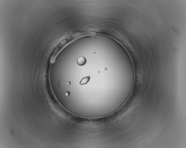 X0000113960538200910091631