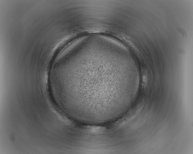 X0000113960539200910091631