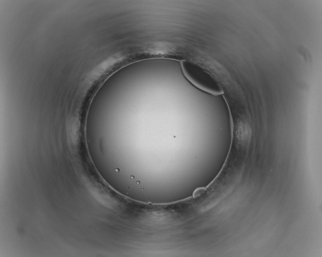 X0000113960540200910091631