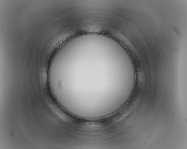 X0000113960541200910091631