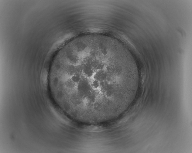 X0000113960542200910091631