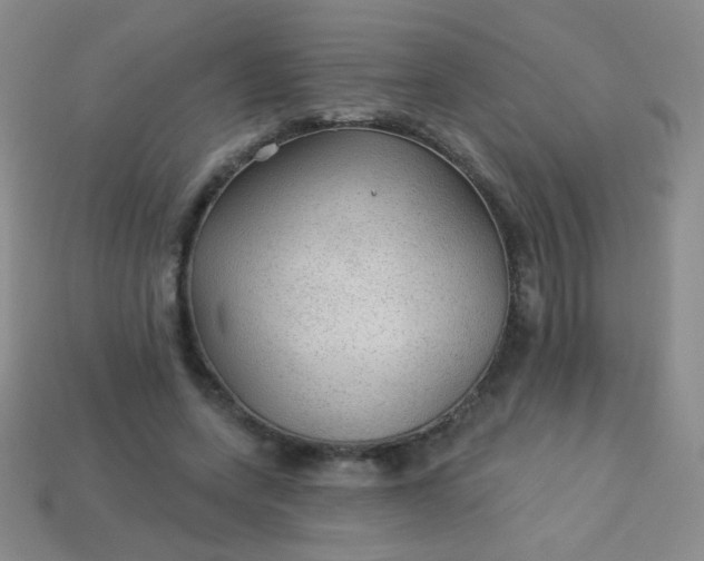 X0000113960543200910091631