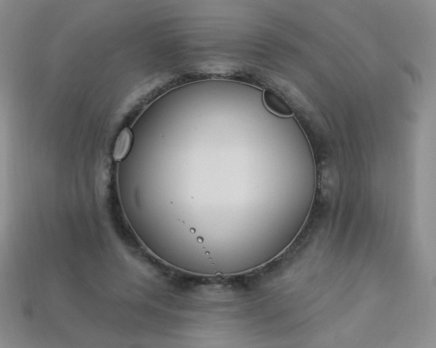 X0000113960544200910091631