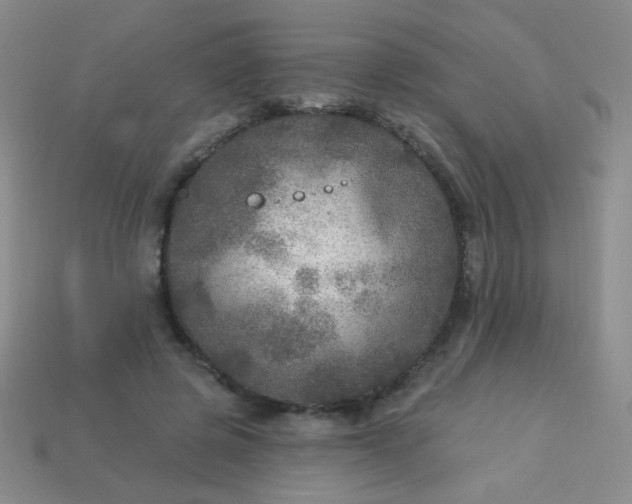 X0000113960545200910091631