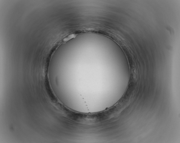 X0000113960546200910091631