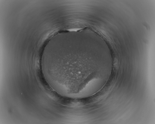 X0000113960547200910091631