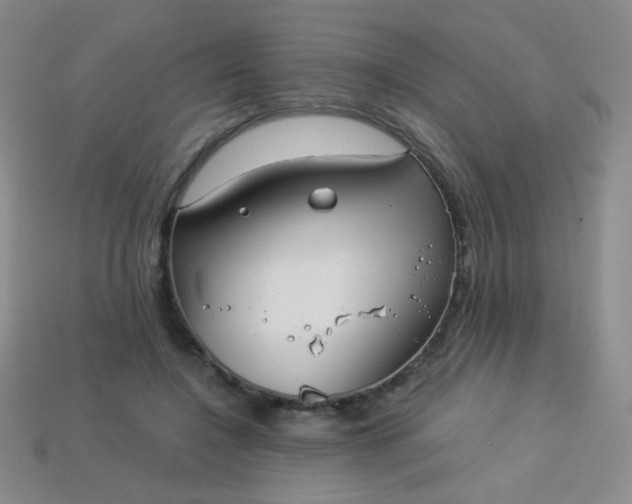 X0000113960548200910091631