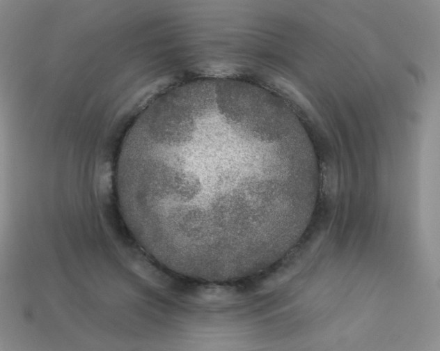 X0000113960549200910091631