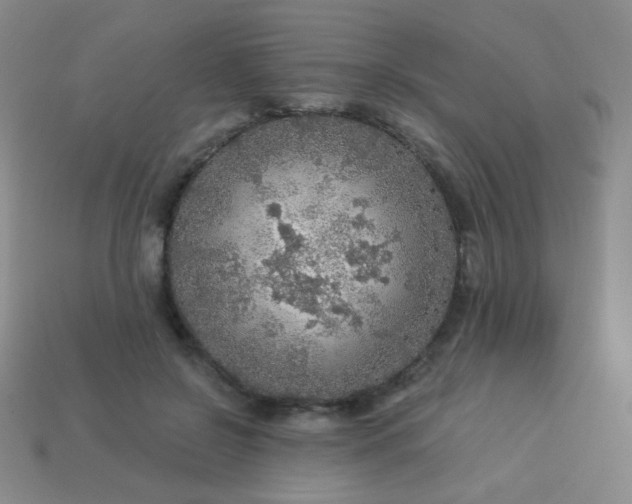 X0000113960550200910091631