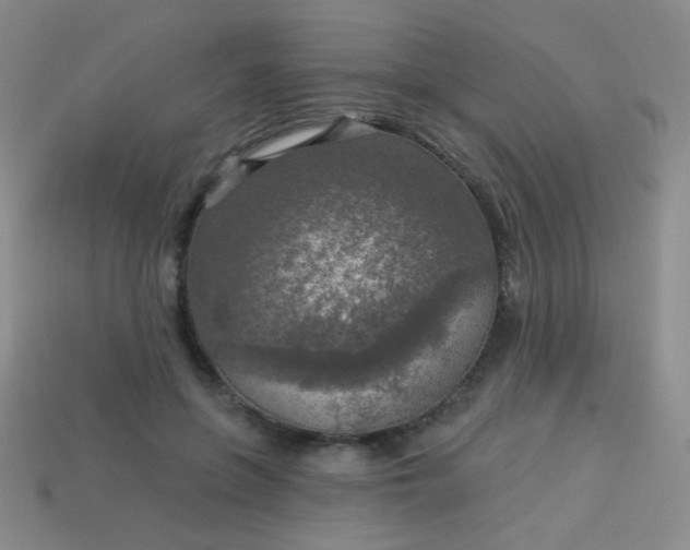 X0000113960551200910091631