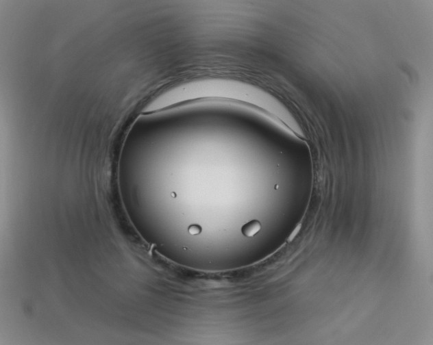 X0000113960552200910091631