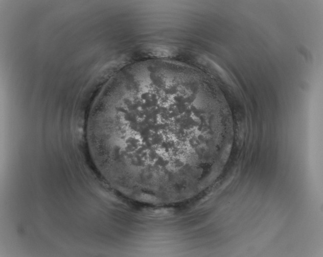 X0000113960553200910091631