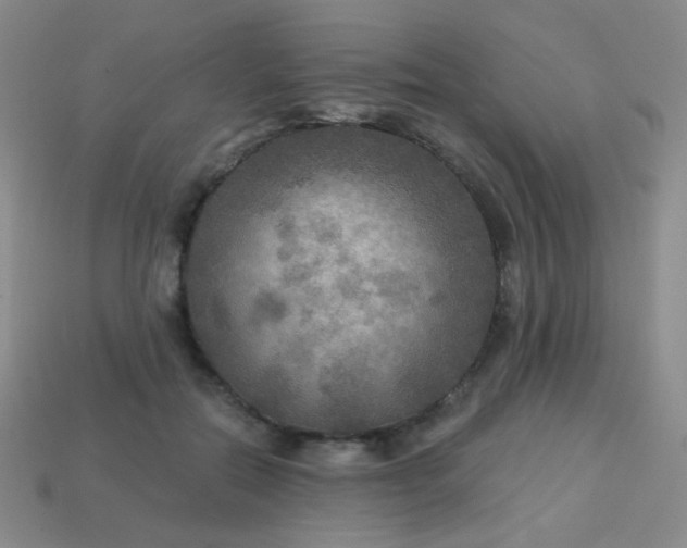 X0000113960554200910091631