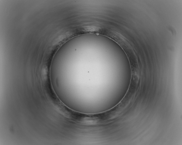 X0000113960556200910091631