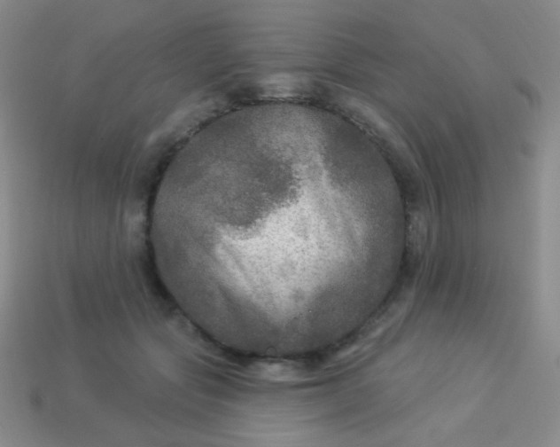 X0000113960557200910091631