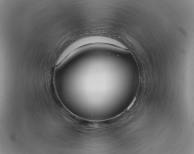 X0000113960558200910091631