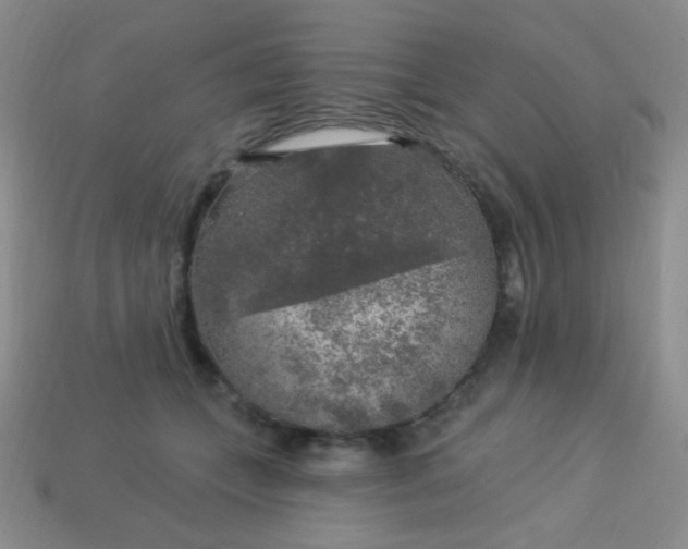 X0000113960559200910091631