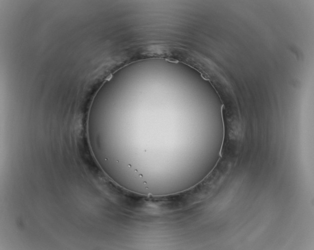 X0000113960560200910091631