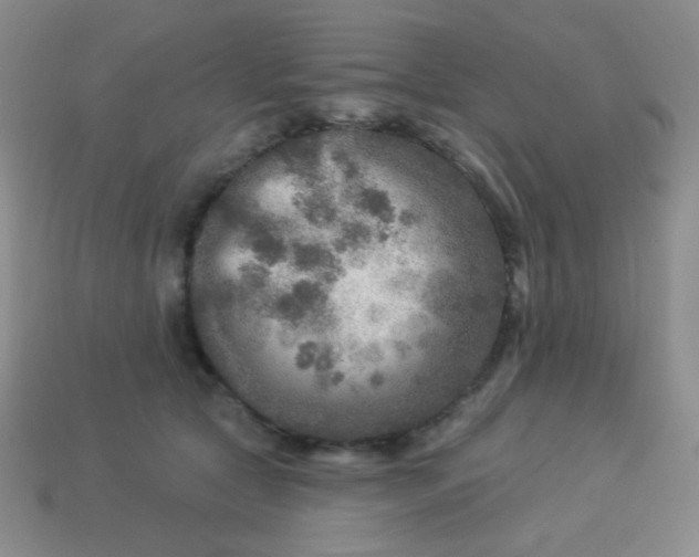 X0000113960561200910091631