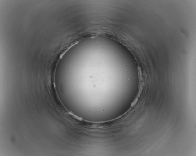 X0000113960562200910091631