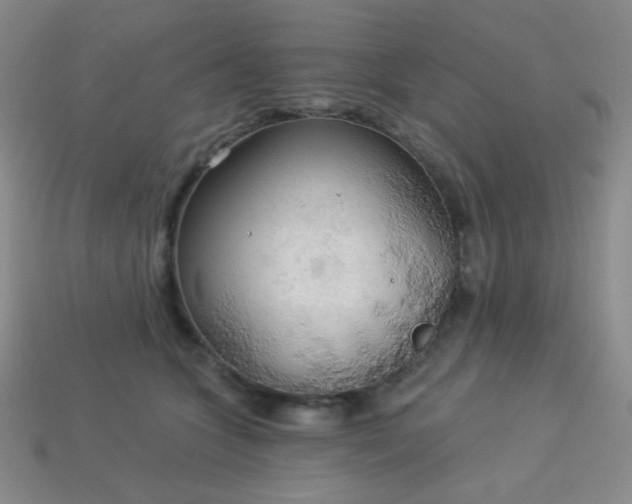 X0000113960563200910091631