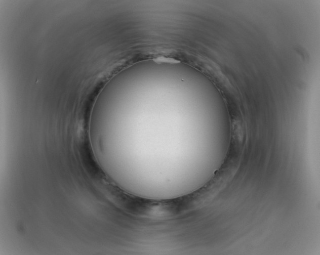 X0000113960564200910091631