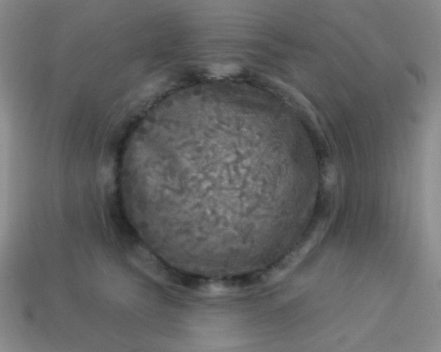 X0000113960565200910091631