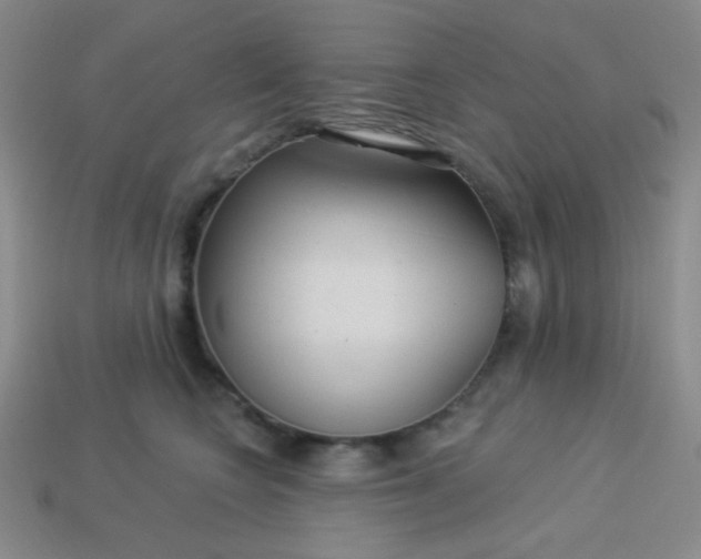 X0000113960566200910091631