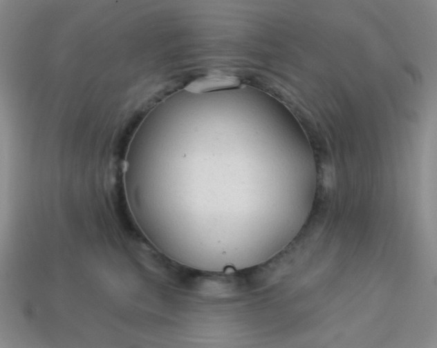 X0000113960567200910091631