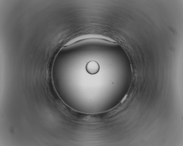 X0000113960568200910091631