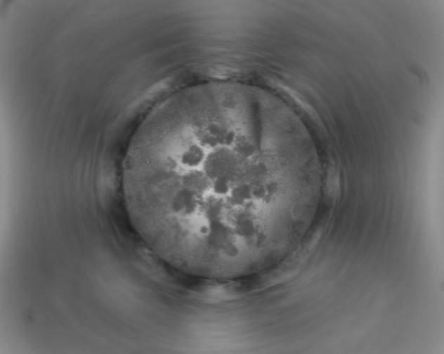 X0000113960569200910091631