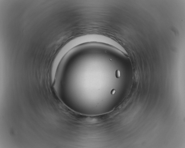 X0000113960570200910091632