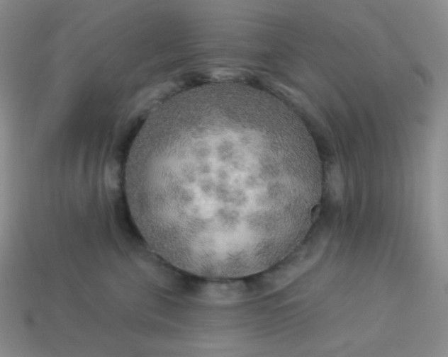 X0000113960571200910091632