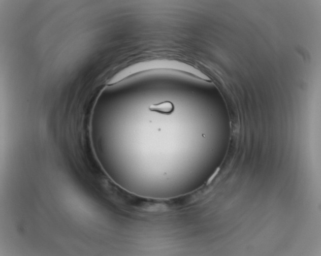 X0000113960572200910091632