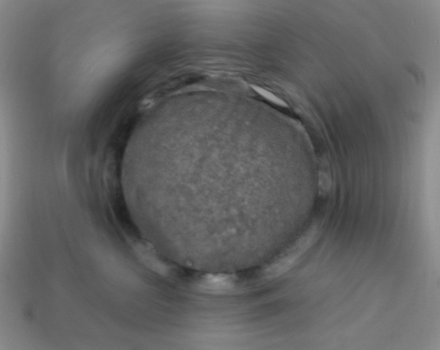 X0000113960573200910091632