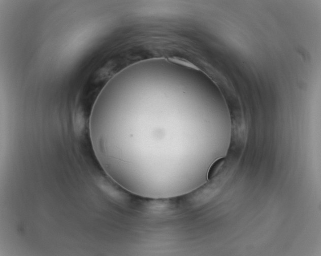 X0000113960574200910091632