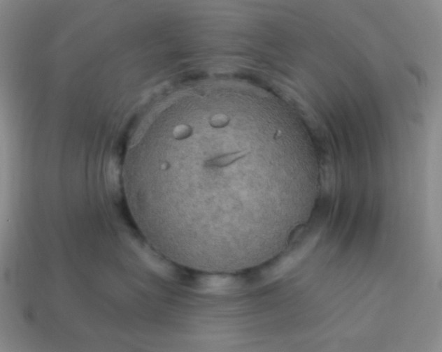 X0000113960575200910091632