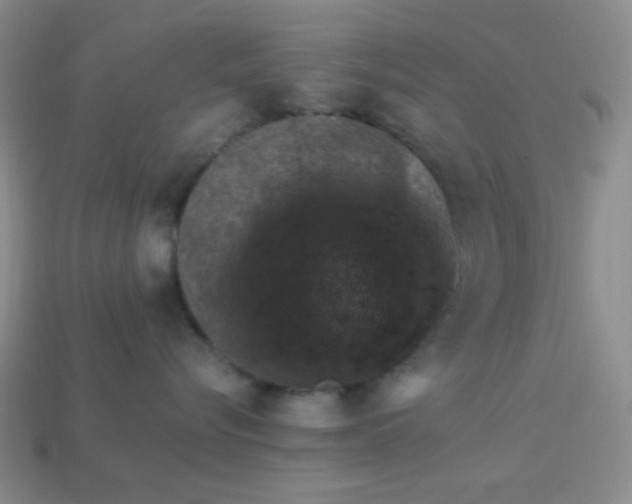 X0000113960576200910091632