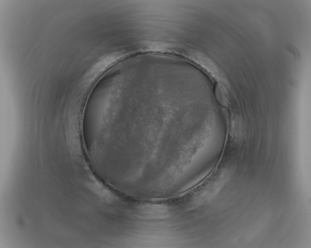 X0000113960577200910091631