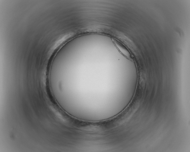 X0000113960578200910091631