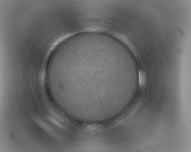 X0000113960579200910091631