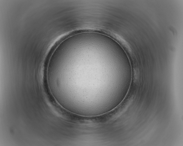 X0000113960580200910091631