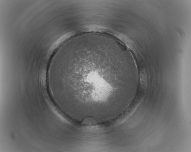 X0000113960581200910091631